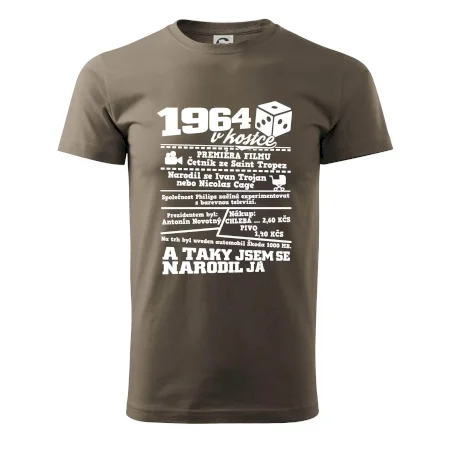 1964 v kostce