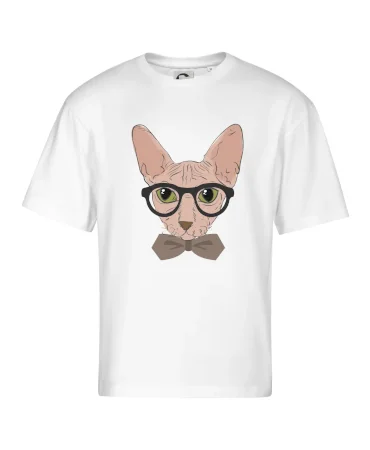 Hipster sphynx