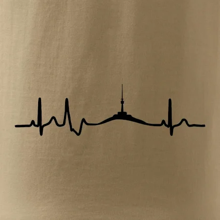 Ekg Jeseníky