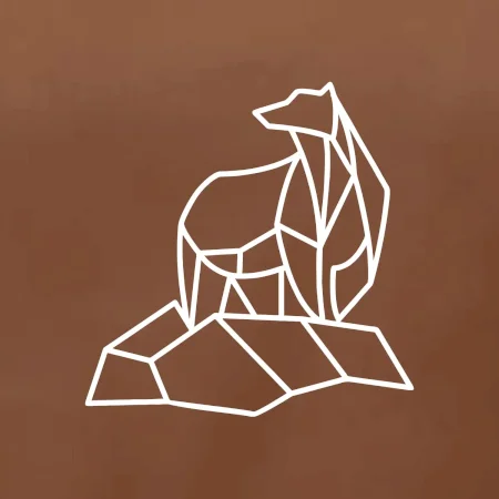 Geometrie lední medvěd na ledu