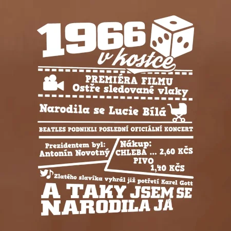 1966 v kostce