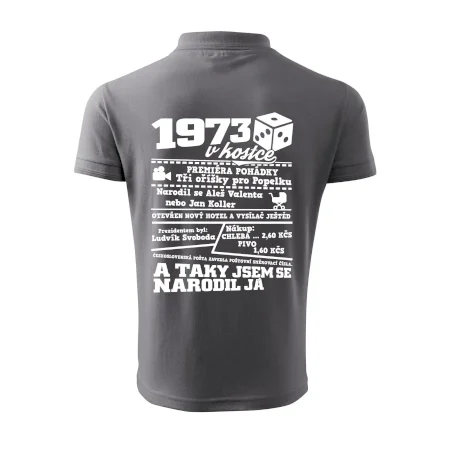 1973 v kostce