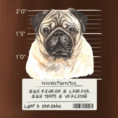 Lump a darebák mopsík