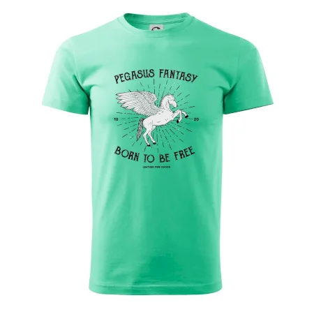 Pegasus fantasy