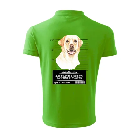 Lump a darebák labrador