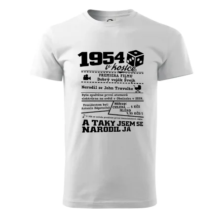 1954 v kostce