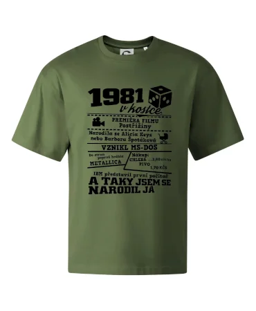 1981 v kostce