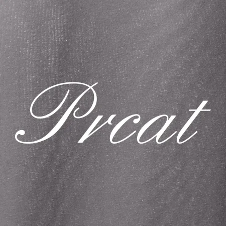 Prcat (souložit vulgárně)