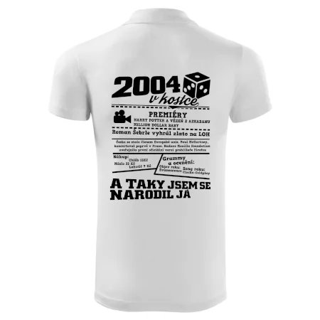 2004 v kostce