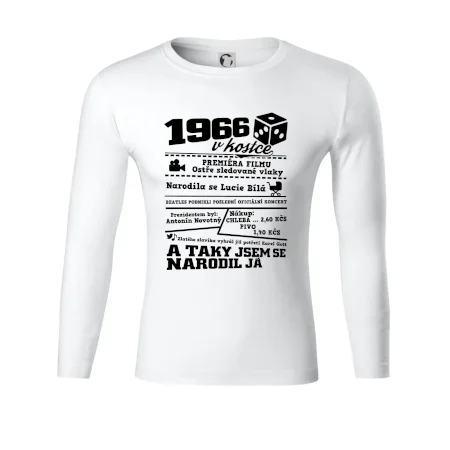 1966 v kostce