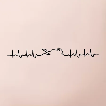 Moto EKG