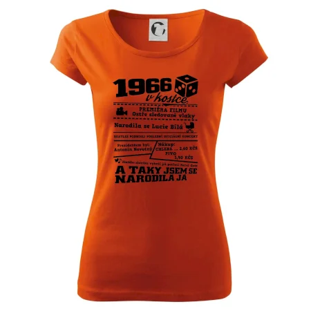 1966 v kostce