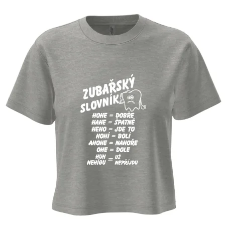 Zubařský slovník