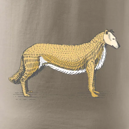 Vintage Collie