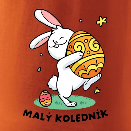 Malý koledník