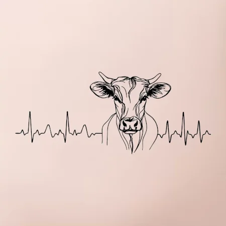 EKG křivka kráva