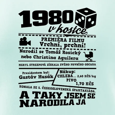 1980 v kostce