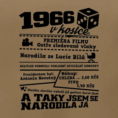 1966 v kostce