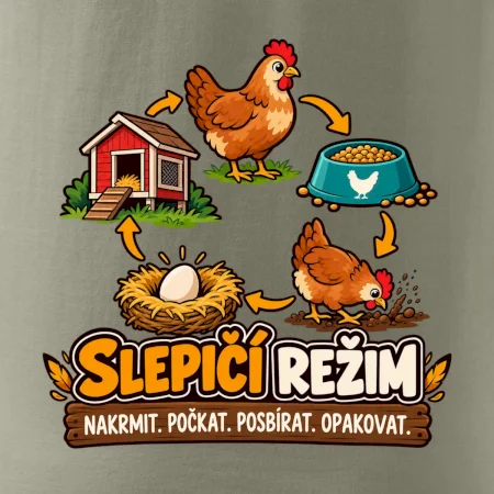 Slepičí režim od krmení po sběr vajec