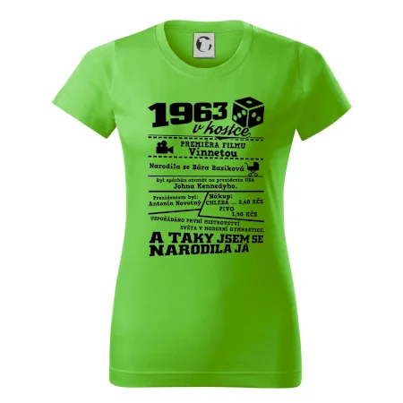 1963 v kostce
