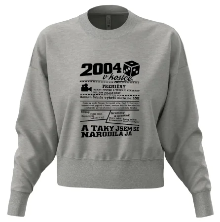 2004 v kostce