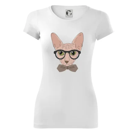 Hipster sphynx