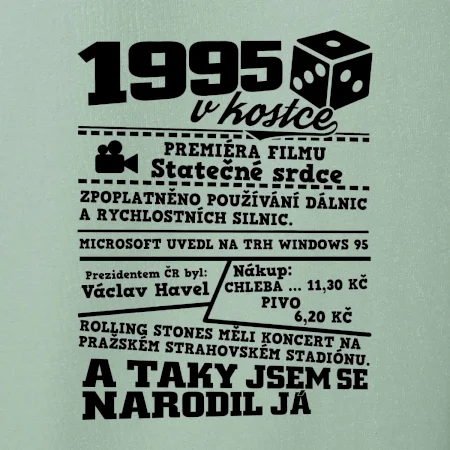 1995 v kostce