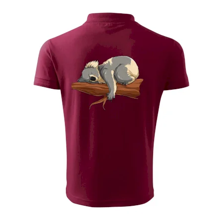 Koala na větvi