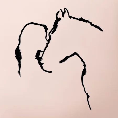 Kůň a já silueta