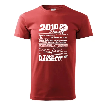 2010 v kostce