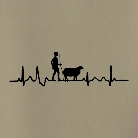 Ekg pastevec ovcí