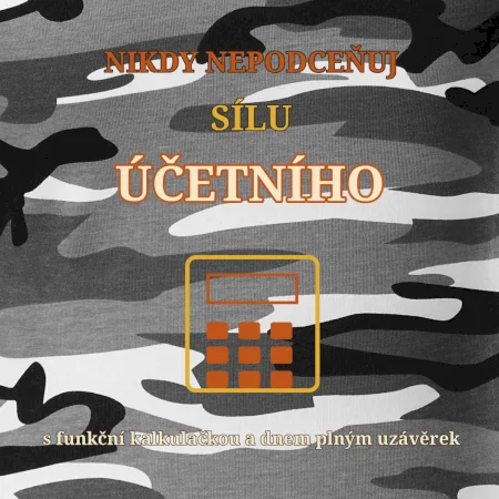 Nikdy nepodceňuj sílu účetního