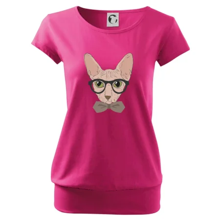 Hipster sphynx