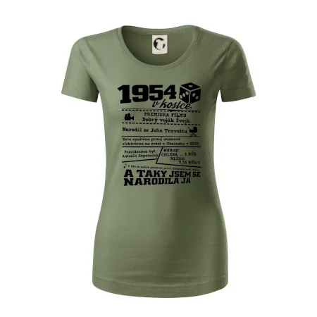 1954 v kostce