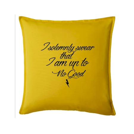 I solemnly swear that I'm up to no good