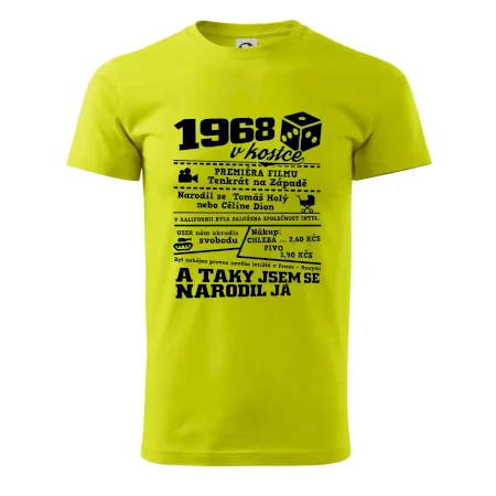 1968 v kostce