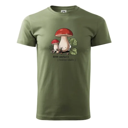 Hřib smrkový - Boletus edulis kreslený