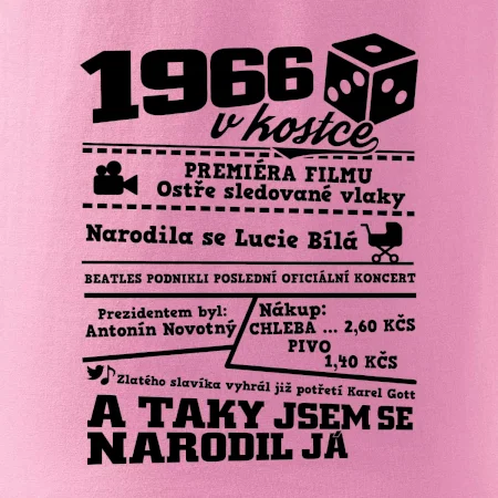 1966 v kostce