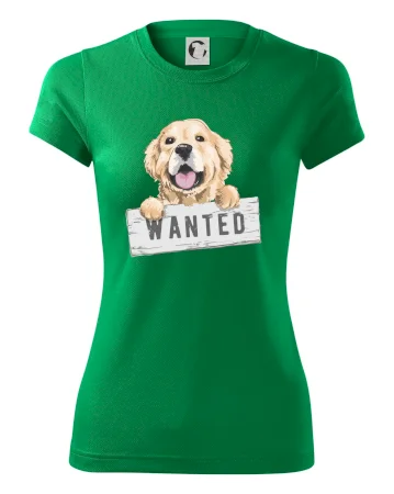 Zlatý retriever - štěně wanted