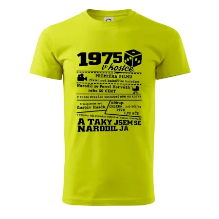 1975 v kostce