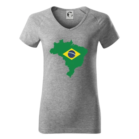 Brazílie vlajka v mapě