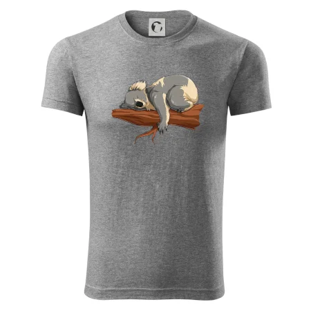 Koala na větvi