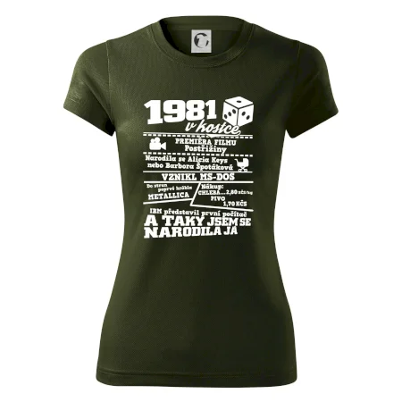 1981 v kostce