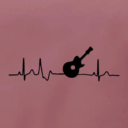 EKG akustická kytara