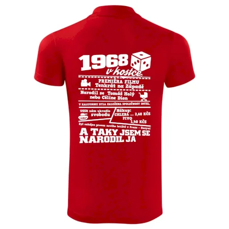 1968 v kostce