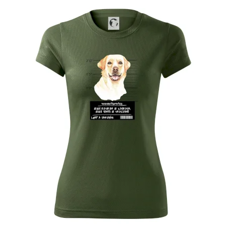 Lump a darebák labrador