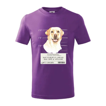 Lump a darebák labrador
