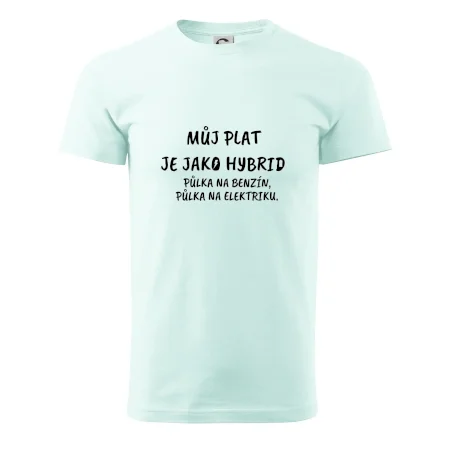 Můj plat jako hybrid