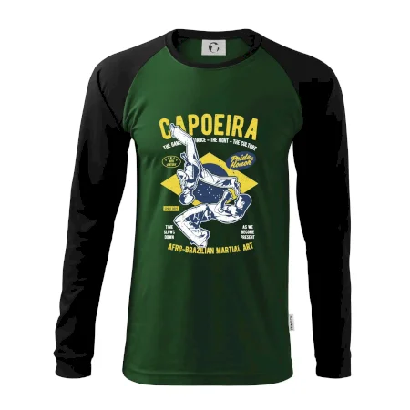 Capoeira  Afro-brazil art