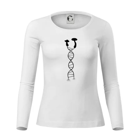 DNA houby